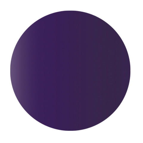 Purple - NSI Secrets Prism Paint